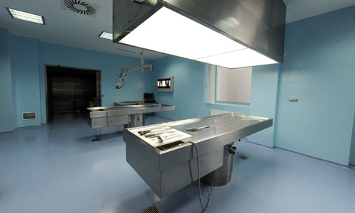 Bild: Michaela Bruckberger; http://diepresse.com/home/panorama/oesterreich/580977/Gerichtsmedizin-wartet_Haben-32-Liegeplaetze gerichtsmedizin wartet haben liegeplaetze gerichtsmedizin20100713190038