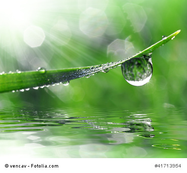wasser-fotolia