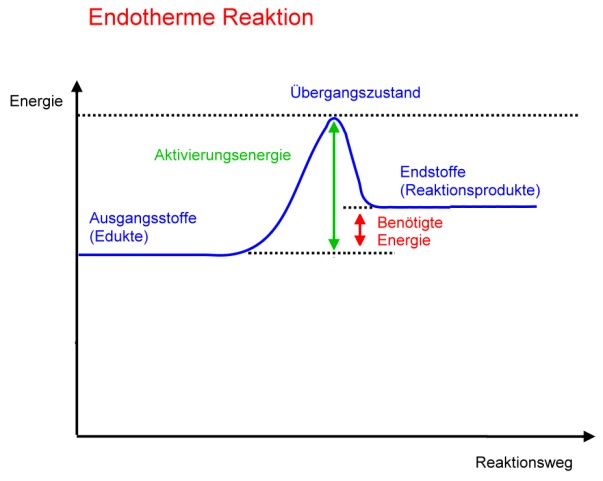 endotherm