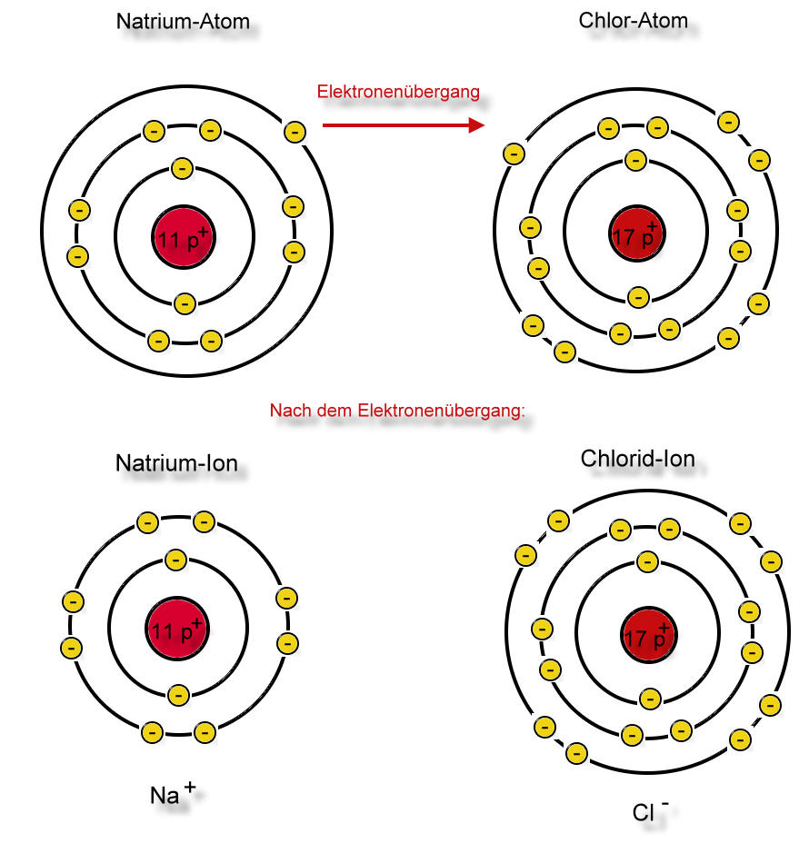 download verbalising the visual