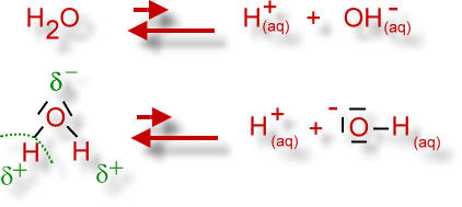 Autoprotolyse