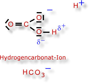 hydrogencarbonat