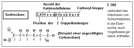 nomenklatur carbons