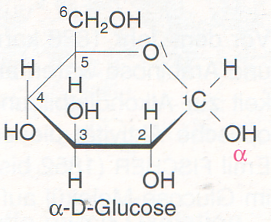 alpha D Glucose Haworth 250