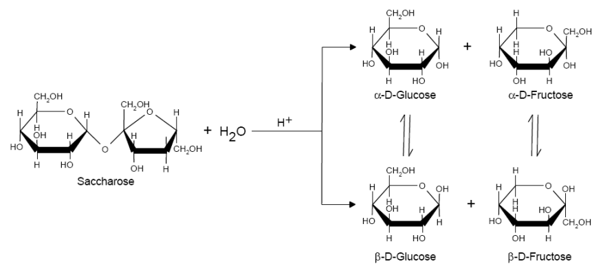 saure-hydrolyse-kohlenhydrate