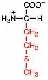 z-methionin