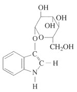 indican-klein