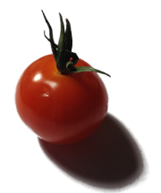 tomate-klein-01